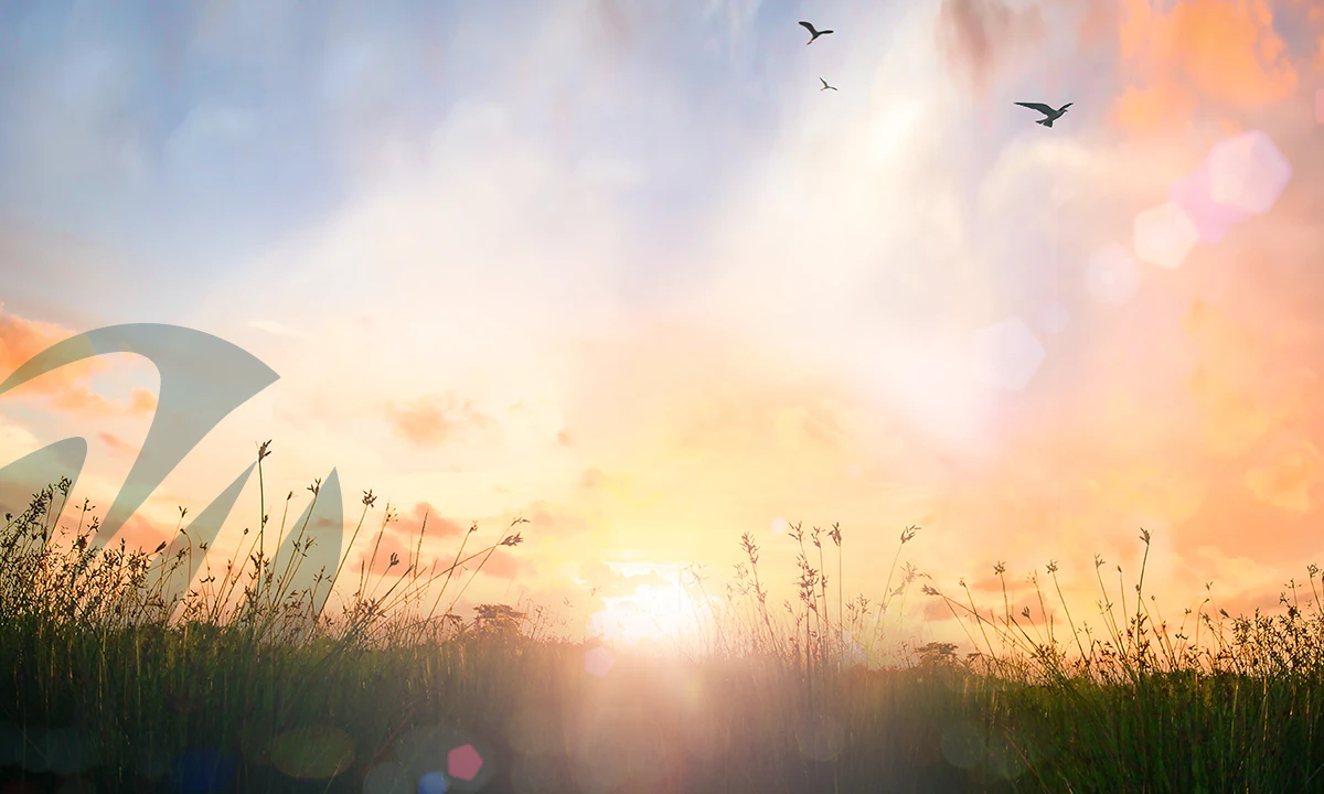 Finding Clarity in What Matters Most